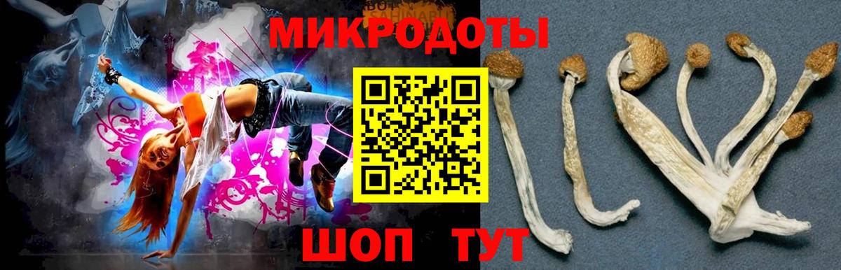 Галлюциногенные грибы Magic Shrooms Керчь